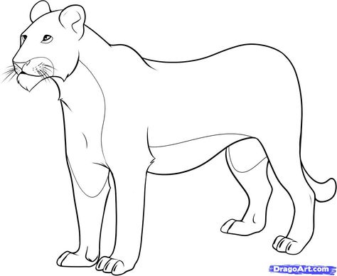 Female+Lion+Coloring+Pages | how to draw a lioness step 8 Lioness Coloring Page, Lioness Drawing Simple, How To Draw A Lioness, Lioness Sketch, Lioness Drawing, Circus Vbs, Christmas Safari, Lion Drawing Simple, Mother And Child Drawing