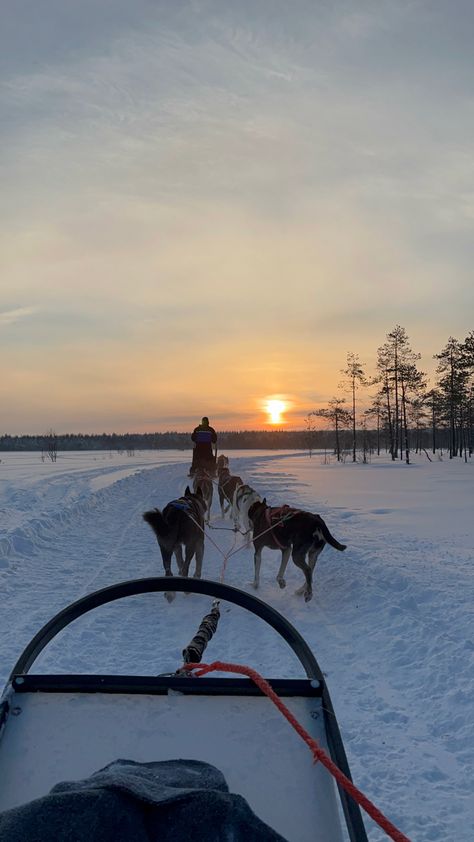 Rovaniemi Aesthetic, Traveling Pictures, Rovaniemi Finland, Warm Winter, Finland, Norway, Husky, Bucket List, Beautiful Places