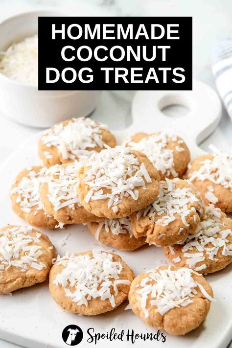 Coconut Dog Treats, No Bake Dog Treats, Dog Cookie Recipes, Soft Dog Treats, Pet Treats Recipes, Easy Dog Treat Recipes, Dog Biscuit Recipes, Easy Dog Treats, Healthy Dog Treats Homemade