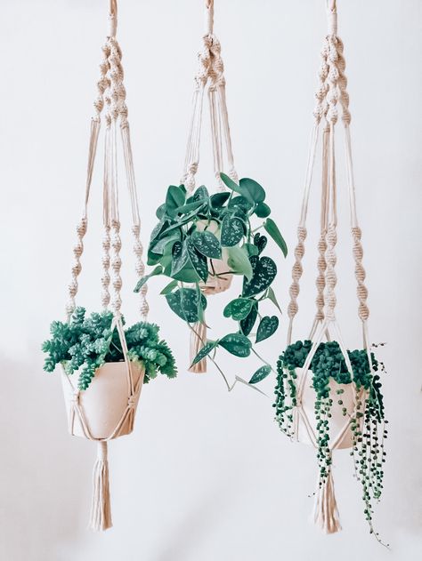 Green Room Decor, Diy Room Decor For Teens, Fake Plants Decor, Flower Bedroom, Bedroom Plants, Pretty Bedroom, Preppy Room, Plant Aesthetic, Boho Room