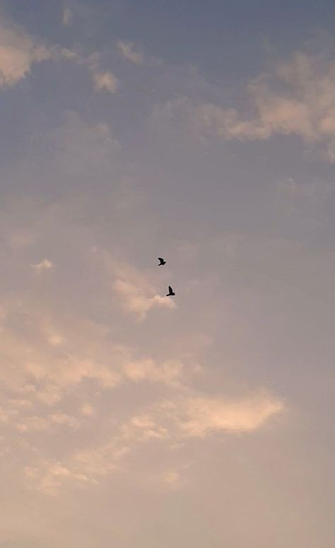 Birds Flying In The Sky, Cinderella Aesthetic, Me And Her, Diwali Photography, Flying In The Sky, Sunset Quotes Instagram, Streak Ideas, Random Clicks, Nature Photography Flowers