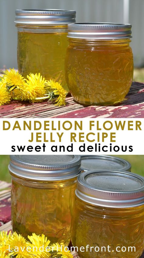 Dandelion Jelly Recipe, Dandelion Salve, Flowers Recipes, Witch Recipes, Homestead Recipes, Flower Jelly, Edible Flowers Recipes, Produce Recipes, Marmalade Recipe