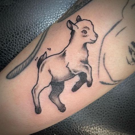 Lamb Chop Tattoo, American Traditional Lamb Tattoo, Traditional Lamb Tattoo, Black Sheep Tattoo, Lamb Tattoo, Sheep Tattoo, Fox Tattoo, Animals Cute, Traditional Tattoos