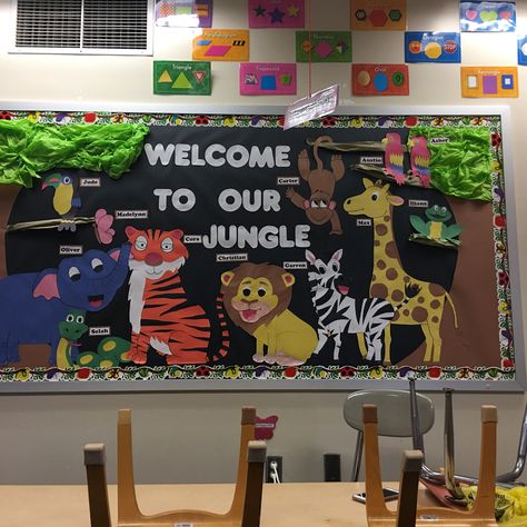 Jungle Jungle Bulletin Board Ideas Classroom Decor, Jungle Theme Bulletin Boards, Bulletin Board Elementary, Safari Bulletin Boards, Jungle Bulletin Boards, Jungle Theme Classroom Decorations, World Bulletin Board, Nurse Bulletin Board, Jungle Classroom