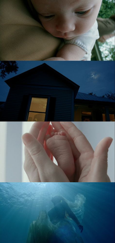 Emmanuel Lubezki Photography, The Tree Of Life Movie, Terrence Malick, Life Movie, Director Of Photography, Lust For Life, Film Inspiration, The Tree Of Life, Fig Tree