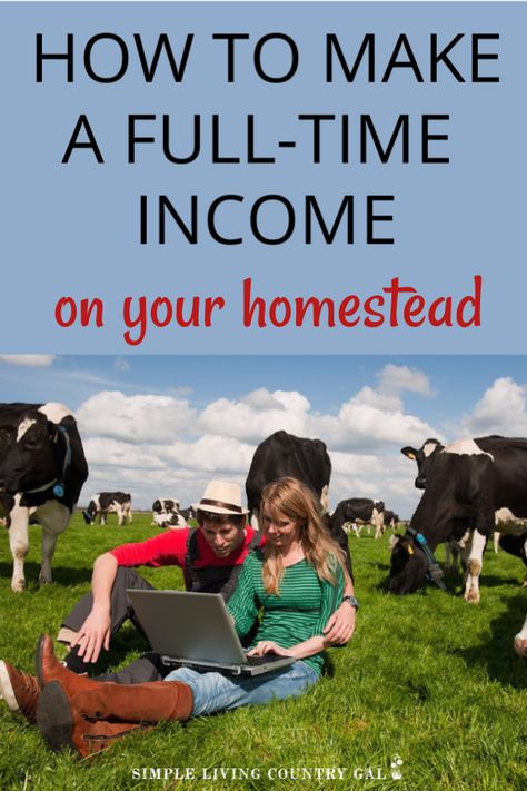 Florida Homesteading, Atari Force, Homestead Planning, Goats And Chickens, Dexter Cattle, Homesteading Life, Joel Salatin, Hobby Farming, Homesteading Diy