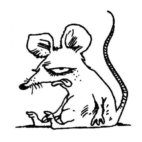 A Rat, Arte Inspo, Doodle Art Designs, Tattoo Design Drawings, Sketchbook Art Inspiration, Art Inspiration Drawing, Funky Art, Art Reference Photos, Cute Tattoos