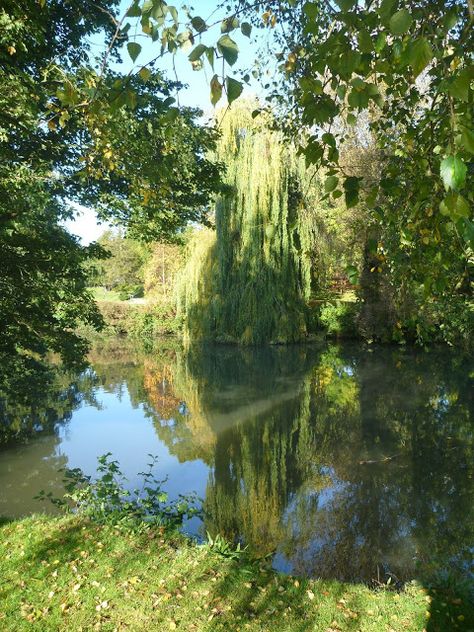 Jephson Gardens, Royal Leamington Spa, Warwickshire Royal Botania Outdoor, Kengsinton Palace, Royal Victoria Park Bath, Royal Leamington Spa, Leamington Spa, Royal Winton, Lovely Images, A Walk, The Well