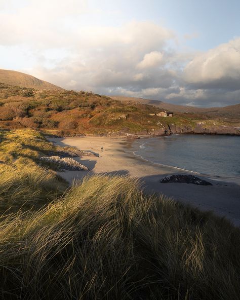 Exploring the dunes at Derrynane on the Ring of Kerry Derrynane Beach Ireland, Ireland Nature Aesthetic, Ireland Beach Aesthetic, Beaches In Ireland, Ireland Spring, Summer In Ireland, Irish Beach, Irish Coast, Ireland Country