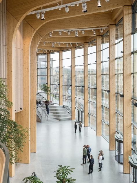 Image credit: Rasmus Hjortshoj Cross Laminated Timber Architecture, Building Garden, 2023 Picture, Henning Larsen, Timber Architecture, Forest Canopy, Gothenburg Sweden, Timber Buildings, Timber Structure