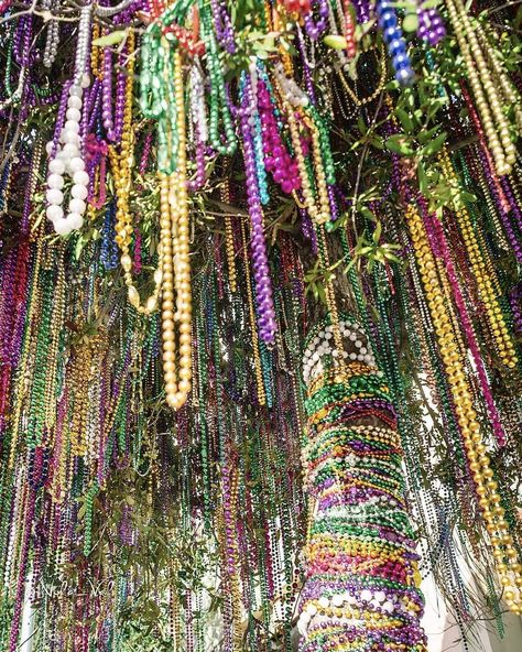 Mardi Gras Bead Tree, Mardi Gras Date, New Orleans Beads, Masquerade Aesthetic, Mardi Gras Photos, New Orleans Party, Mardi Gras New Orleans, Bead Tree, Prom Decor