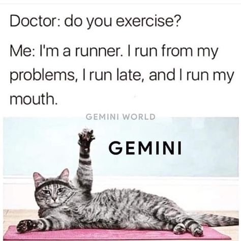 Ha ha ha - #gemini #geminiworld #geminimemes #geminiquotes #gemini♊ #geminiana #geminihoroscopes #geminilife #geminicharacteristics Gemini Quotes, Gemini Life, Memes Hilarious, Gemini Facts, Zodiac Signs Funny, First Week, Funny Signs, Bones Funny, A Cat