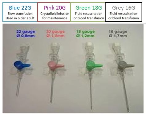 IV therapy Iv Needle, Iv Cannula, Nursing Iv, Iv Insertion, Crazy Images, Iv Line, Nursing Study Tips, Crazy Pics, Crazy Pictures