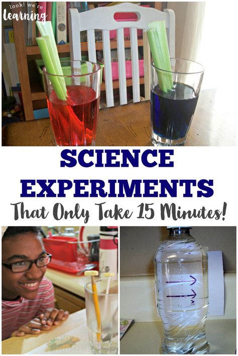 Pressed for time? You can still get an awesome science lesson in with these simple 15 minute science experiments for kids! Last Minute Science Fair Projects, Unit Studies, Science Demonstrations, Kitchen Science Experiments, Kitchen Science, Kid Experiments, Fair Projects, Science Fair Projects, Learning Science