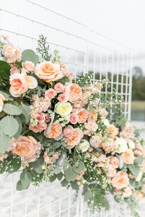 Pink And Peach Wedding Decorations, Salmon Wedding Theme, Peach Fuzz Wedding Decor, Apricot Wedding Theme, Peach Theme Wedding, Summer Outdoor Wedding Ideas, Macaroon Wedding Cake, Macaroon Wedding, Peach And White Wedding