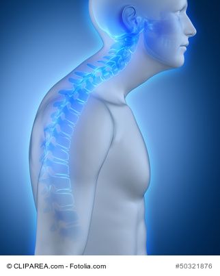 In my article here http://fitnessoriented.com/videos-best-forward-head-posture-exercises/ I will teach you Great exercises you can do to help correct bad Forward Head Posture Trapezius Muscle Pain, Neck Posture, Forward Head Posture Exercises, Posture Fix, Forward Head Posture, Gluteal Muscles, Posture Exercises, Bad Posture, Fitness Articles