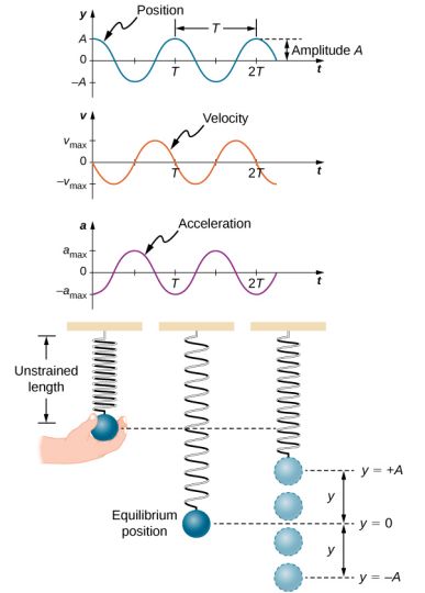 15.2: Simple Harmonic Motion - Physics LibreTexts Simple Harmonic Motion Notes, Maths Aesthetic, Simple Harmonic Motion, Sound Physics, Motion Physics, Motion Energy, Physics Concepts, Motion Graphs, Physics Notes