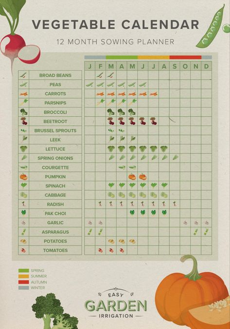 Vegetable Calendar, Vegetable Planting Calendar, Growing Calendar, Vegetable Planting Guide, Garden Party Recipes, Vegetable Planting, Asparagus Plant, When To Plant Vegetables, Vegetable Garden Planner