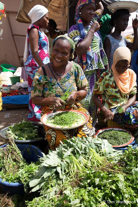 African Life, African Market, The Gambia, African People, Close Encounters, African Countries, Tree Tops, Jolie Photo, African Culture