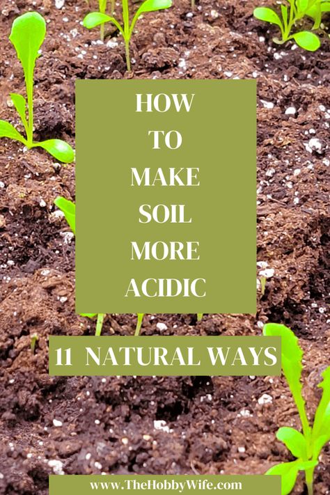 How to make soil more acidic naturally infographic. Making Soil More Acidic, Plants For Acidic Soil, How To Make Soil Acidic, Acidic Soil How To Make, How To Make Acidic Soil, Wood Ash For Garden, How To Make Soil More Acidic, Acidic Soil, Alkaline Soil