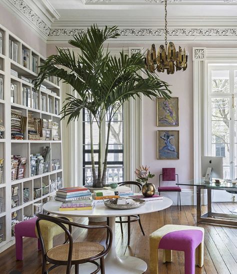 Indoor Palm, Saarinen Tulip Table, Saarinen Dining Table, Tulip Table, Stylish Office, Funky Furniture, Spare Room, Tree Ideas, Furniture Pieces