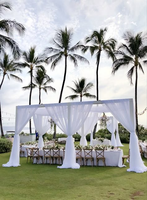 Chiffon Draping, Wedding Canopy, Wedding Arbour, Beach Ceremony, Wedding Toasts, Wedding Speech, Crystal Chandeliers, Outdoor Wedding Decorations, White Chiffon