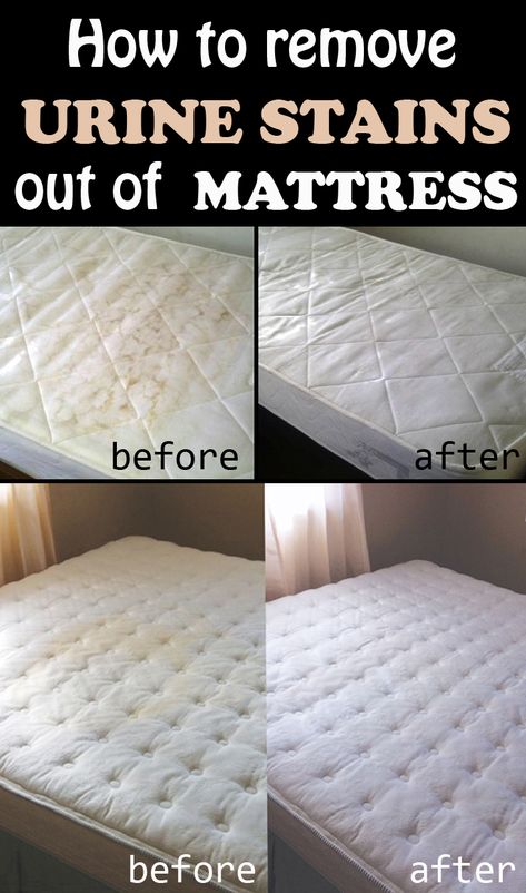 Stains Out Of Mattress, Homemade Toilet Cleaner, Clean Baking Pans, Hardwood Floor Cleaner, Urine Smells, Cleaning Painted Walls, Urine Stains, Mattress Cleaning, Glass Cooktop