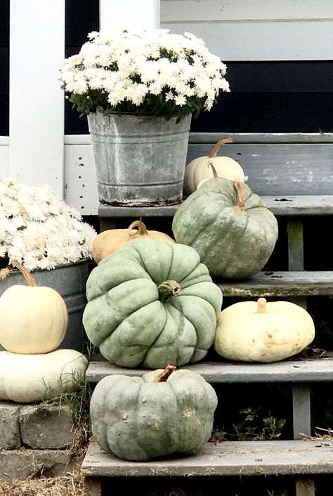 Outdoor Fall Decor Ideas, Front Porch Steps, Farmhouse Front Porch, Porch Planters, Fall Decor Inspiration, Fall Front Porch Decor, Porch Steps, Farmhouse Front, Fall Front Porch