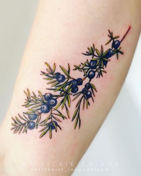 Nature Rib Tattoo, Nature Tattoos Color, Sprig Tattoo, Evergreen Branch Tattoo, Fine Line Juniper Tattoo, Juniper Tree Tattoo, Herbs Tattoo, Berries And Leaves Tattoo, Juniper Tattoo Branches