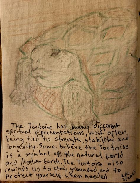 Retracted Tortoise Spiritual Meaning, by LRL Tortoise Spiritual Meaning, Tortoise Symbolism, Animal Symbolism, Spiritual Meaning, Natural World, Mother Earth, Tortoise, Meant To Be, Spirituality