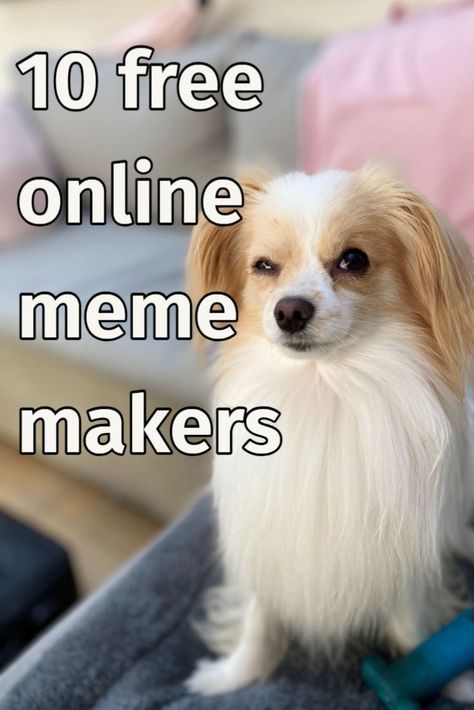 Create, make or customize your own funny and witty memes with these 10 free online meme generators and templates #mememaker #memecreator #memegenerator #grumpycat #kermit #babyyoda #contentcreator #contentcreators #socialmedia #Instagram #Twitter #Facebook #viral Witty Memes, Meme Maker, A Meme, Grumpy Cat, Art Tools, Generators, Free Online, Youtube Videos, To Create