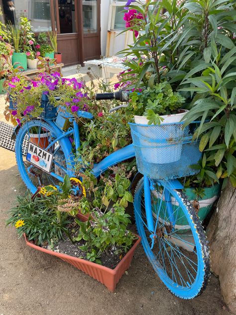 Garden Bicycle, Mediterranean Flowers, Plants Everywhere, Cute Bike, Bicycle, Bike, Patio, Plants, Flowers