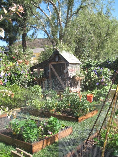 Gated Garden, House Uk, Vegetable Garden For Beginners, Potager Garden, Farmhouse Garden, Have Inspiration, Vegetable Garden Design, French Garden, Olive Garden