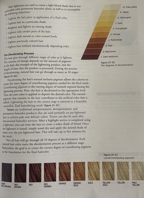 Goldwell Formulas, Hair Color Theory, Colour Knowledge, Hair Anatomy, Bleaching Hair At Home, Hair Color Wheel, Blonde Hair At Home, Hair Color Placement, Hair Color Swatches