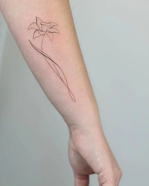 Tattoo Representing New Beginning, Tattoo Symbolizing Growth New Beginnings, Fine Line Narcissus Tattoo, Paperwhite Flower Tattoo, Daffodil Fine Line Tattoo, Line Daffodil Tattoo, Tattoos That Represent Growth New Beginnings, Fine Line Daffodil, Fine Line Daffodil Tattoo