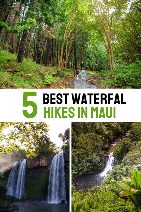 Discover the 5 best waterfall hikes in Maui! Explore lush trails leading to stunning cascades, from the famous Waimoku Falls to the hidden gem of Makamakaole Falls. Perfect for hikers seeking adventure and breathtaking scenery. Maui Hikes Waterfalls, Best Maui Hikes, Maui Waterfalls, Twin Falls Maui, Maui Hikes, Hikes In Maui, Maui Travel Guide, Maui Itinerary, Waterfall Scenery