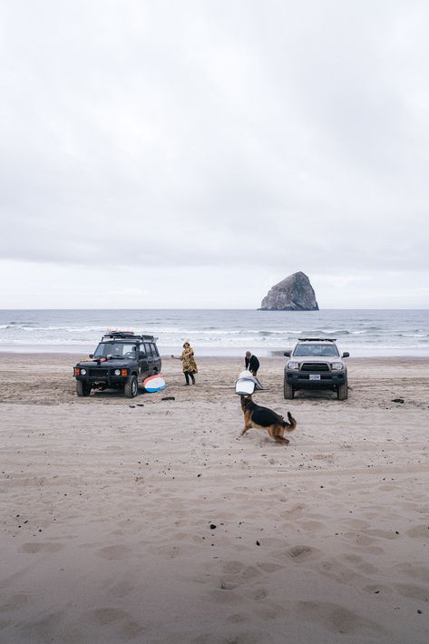 Surfing In Oregon, Oregon Coast Surfing, Cold Water Surfing, Pnw Surfing, Oregon Surfing, Winter Surfing, Canned Wine, Retro Bakery, Winter Surf