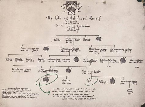 The Black family tree Black Family Tree Harry Potter, Family Tree Harry Potter, House Of Black Family Tree, The Black Family Tree, Black Family Tree, Noble House Of Black, Harry Potter Family Tree, The Black Family, Harry Potter Sirius