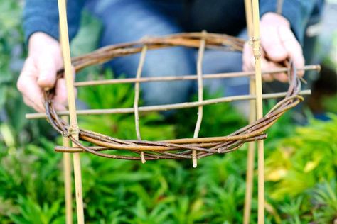 Willow Plant, Peony Support, Willow Garden, Willow Weaving, Bamboo Canes, Garden Vines, Garden Walkway, Bamboo Garden, Front Porch Ideas Curb Appeal