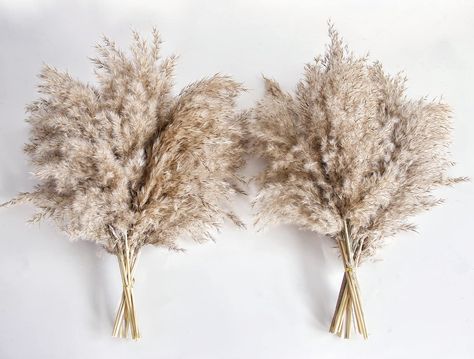 PRICES MAY VARY. Fluffy Pampas Grass: pompus grass are natural dried flowers, the dried plants have a flourishing and rich appearance, the touch of nature, Package contains 20PCS short brown pamas Boho Room Decor: pampas is fall vase filler, small decor，strong boho decor, real and elegant plant decor for boho home decor, coffee table decor boho wedding decor, bridal pampas grass wreath,table centerpieces for dining room, dried babys breath，boho baby shower decorations, boho party decorations and Fall Vase Filler, Dry Pampas, Boho Baby Shower Decorations, Boho Fall Decor, Diy Esstisch, Fall Harvest Decorations, Diy Natal, Modern Fall Decor, Grass Wreath