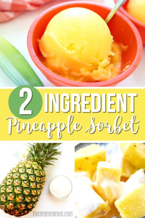 Pineapple Sherbert Recipe, Homemade Sherbert Recipe, Pineapple Sherbet Recipe, Homemade Sherbet, Sorbet Recipes Easy, Pineapple Sorbet Recipe, Pineapple Sherbert, Fruit Sorbet Recipe, Gelato Recipes