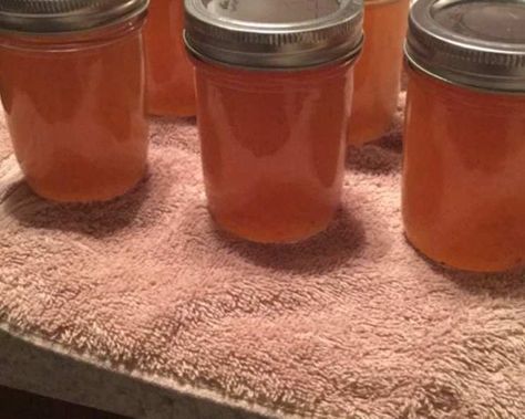 Apple Jelly Recipe - Food.com Sure Jell Recipe Insert, Sure Jell Recipe, Apple Jelly Recipe, Apple Jelly, Jelly Recipe, Jelly Recipes, Family Recipe, Canning Jars, Red Apple