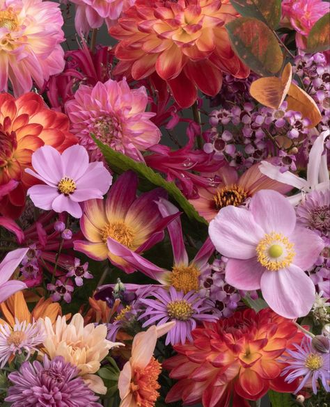 Katrin Engler, Bunches Of Flowers, Slow Flower, Strawberry Summer, Ranunculus Flowers, Colour Analysis, Leipzig Germany, Nothing But Flowers, Fun Patterns