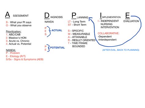 Nursing Care Plan ADPIE Nursing Process Study Guide, Nursing Acronyms, Nurse Care Plan, Care Plans Nursing Student, Adpie Nursing Process, Adpie Nursing, Disease Processes Nursing, Nursing Diagnosis Care Plans, Nursing Physical Assessment