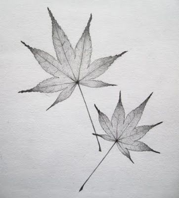 Japanese Maple Drawing, Japanese Maple Tree Drawing, Japanese Maple Leaf Drawing, Japanese Maple Tattoo, Japanese Maple Leaf Tattoo, Maple Leaves Drawing, Maple Drawing, Maple Leaf Drawing, Japanese Maple Leaf