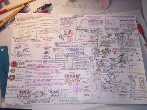 OCR A Level Biology: Transport in Animals Topic Mind Map A Level Biology Notes, School Presentation Ideas, Studying Science, Igcse Biology, Chemistry Revision, School Presentation, Biology Poster, Biology Revision, Mcat Study