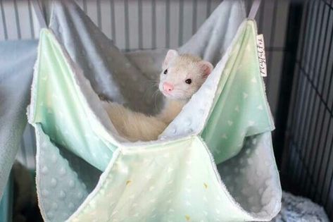 Ferret Hammock, Ferret Nation Cage, Critter Nation Cage, Rat Cage Accessories, Sugar Glider Cage, Pet Hammock, Double Hammock, Cat Hammock, Pet Rats