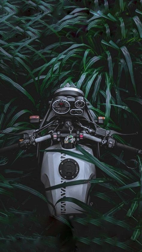 Royal Enfield Hd Wallpapers, Re Himalayan, Action Illustration, Himalayan Royal Enfield, Royal Enfield Wallpapers, Royal Enfield Himalayan, Wallpaper Website, Mustang Wallpaper, Enfield Himalayan