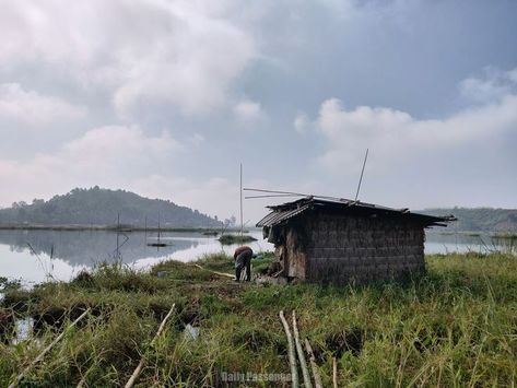 Loktak Lake, located near Moirang. It is the largest freshwater lake in entire North East India and stretches across 980 sq. km. of the catchment area. The National Park including the rest of the lake area is rich in biodiversity- with 230 species of aquatic plants, more than 100 species of exotic birds and 425 species of animals. Loktak Lake, North East India, Catchment Area, Sock Outfits, Exotic Birds, Aquatic Plants, North East, The National, Fresh Water