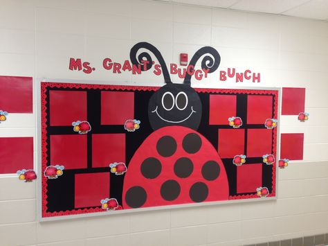 Bulletin board to display the students work. Still in need of her two legs hanging down and a few touch ups. Classroom Ladybug Theme, Red Bulletin Board Ideas, Ladybug Bulletin Board Ideas, Ladybug Classroom Door, Bug Bulletin Board Ideas, Ladybug Classroom Theme, Ladybug Bulletin Boards, Red Classroom Theme, Ladybug Classroom